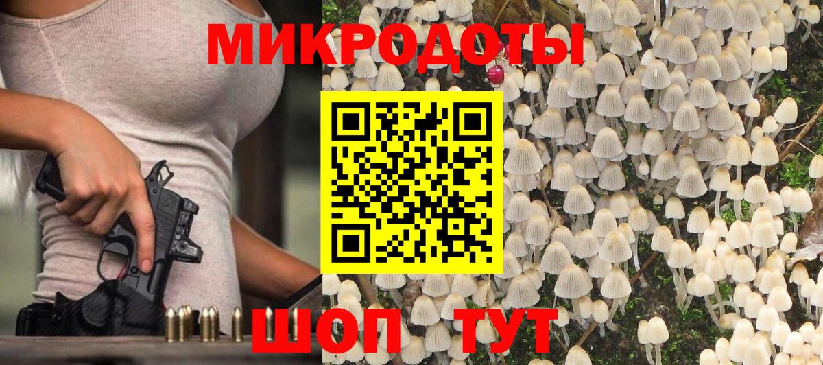 Галлюциногенные грибы Psilocybine cubensis  Вход с VPN  Унеча 