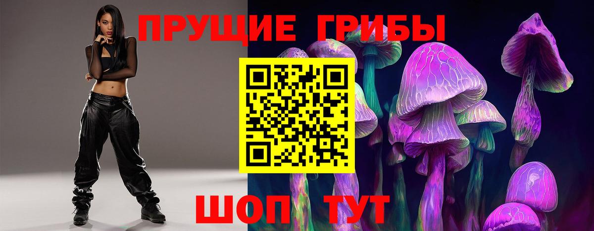 Псилоцибиновые грибы Psilocybine cubensis Унеча